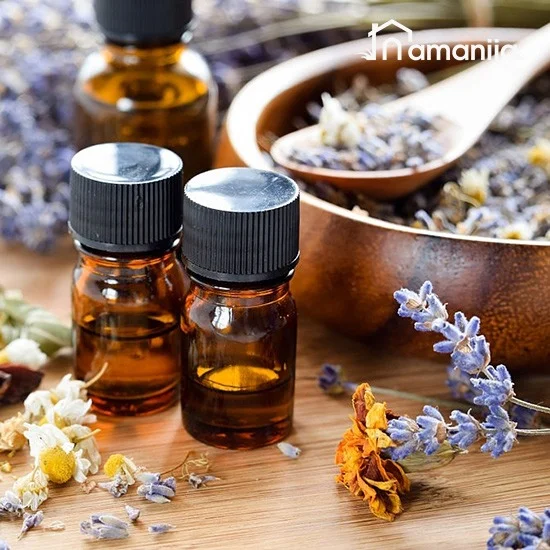 Eterinių aliejų difuzorius-oro drėkintuvas "Čipolinas" - Image 2