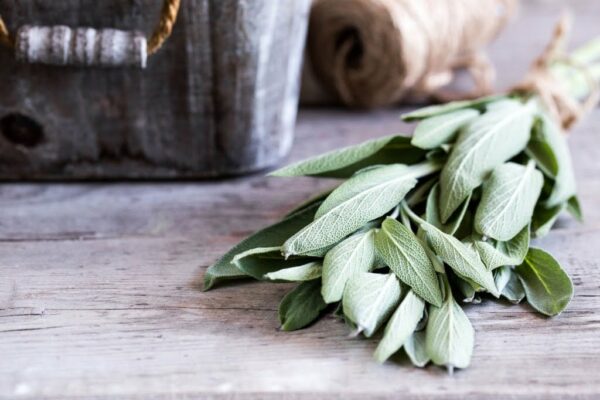 Indiški aromatingieji smilkalai "Baltas šalavijas" - Image 6